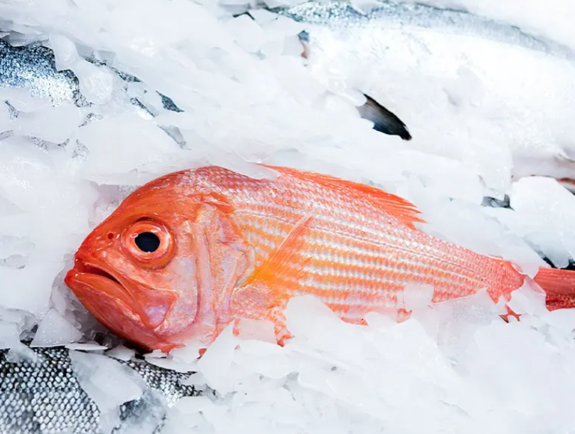 在高溫高濕的環(huán)境下，機器內(nèi)部容易產(chǎn)生冷凝水，這些水分會附著在冰塊上，使其變得濕潤