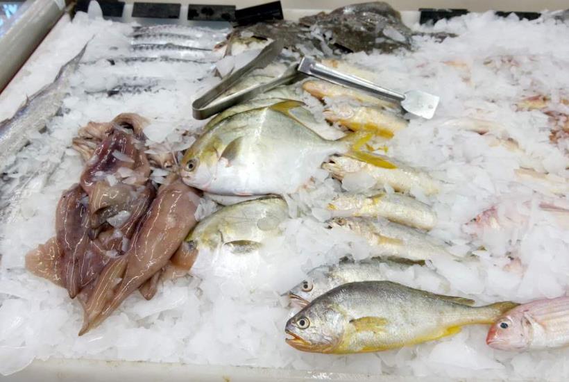 片冰機(jī)的用途