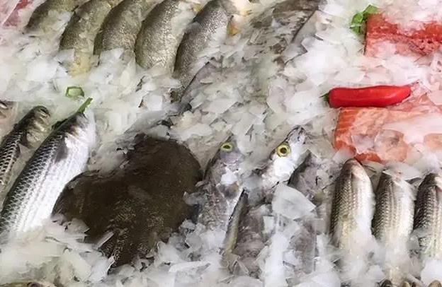 片冰機(jī)的水要加鹽嗎？