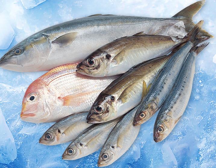 片冰機(jī)在食品加工行業(yè)的具體應(yīng)用場景