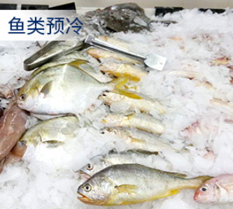 這類制冰機(jī)的特點(diǎn)或選購(gòu)指南