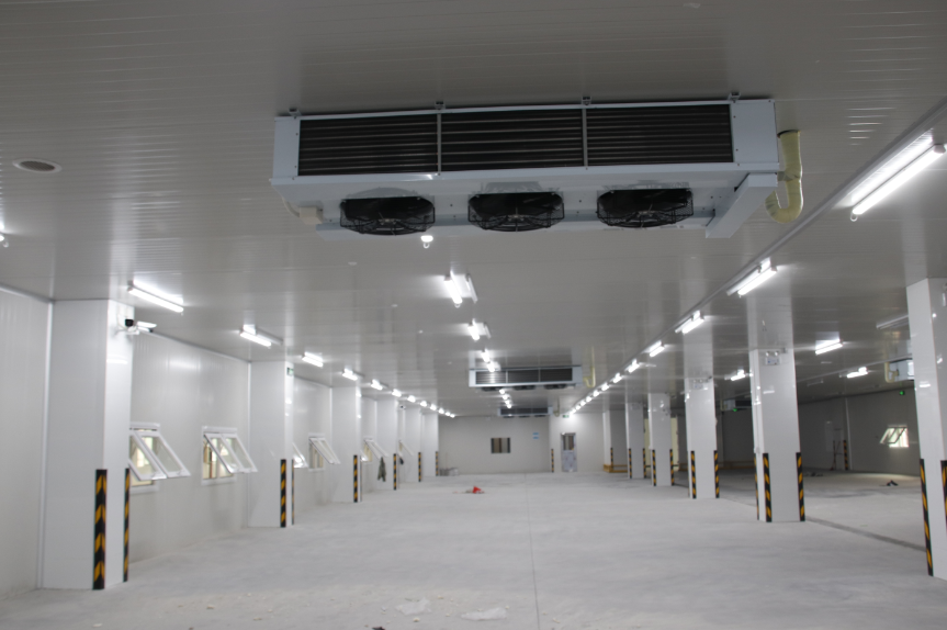 干貨！冷庫設(shè)備節(jié)能的四種方法