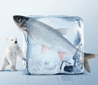 冰泉制冷的25噸冰磚機