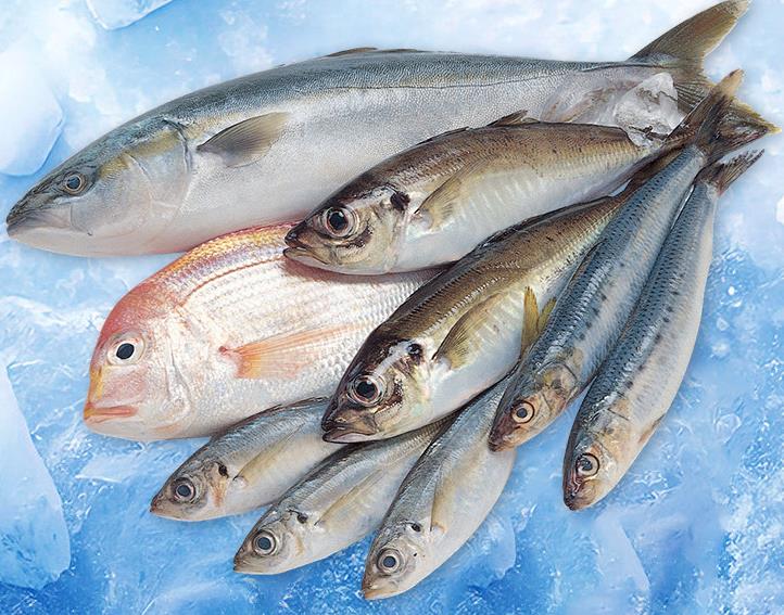 保持20噸制冰機(jī)的高效運行