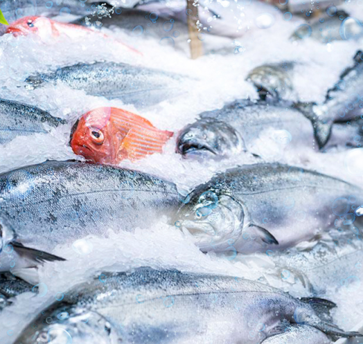 海鮮運輸、食品加工