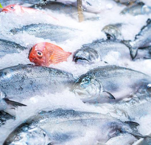 三、適用行業(yè)?