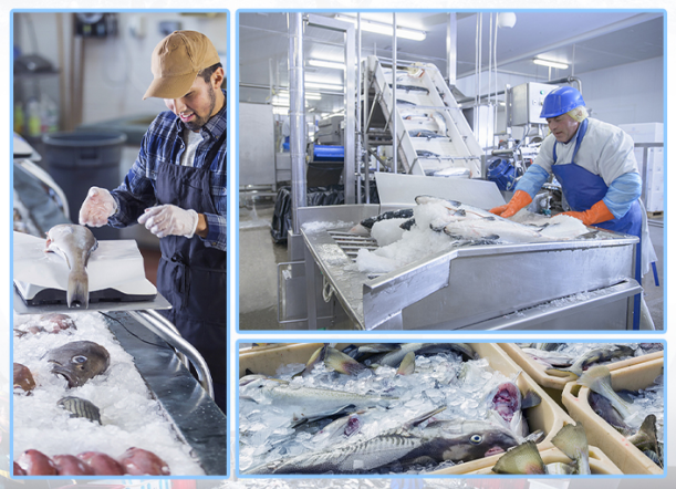 在漁業(yè)中，能滿足大量海產(chǎn)品的冷藏需求